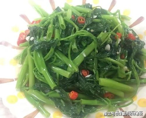 空心菜在哪个季节种植最好？不同地区方法有何差异