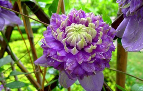 新手蕞容易犯的错：万物皆可泡