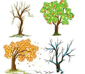 冬天花草树木如何过冬？