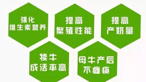 英美尔饲料排名第几，在国内外饲料市场表现如何？