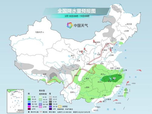 油茶播种的时机之谜