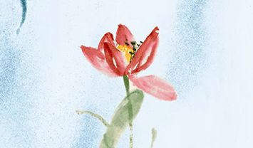 紫藤花：那串串紫色的记忆