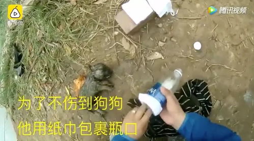 小叶因溺水身亡，怎么救活