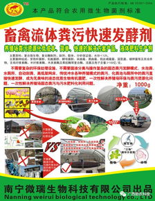 创新粪便处理，绿色农业新篇章