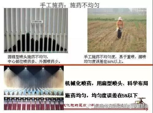 封闭除草剂排行榜揭秘：抗性杂草克星是哪一款？