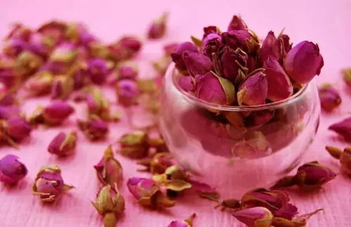 私信TA：家养玫瑰花的浇水频率