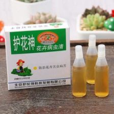 “喷洒杀虫剂，花草上的蚜虫怎么去除