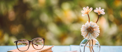 独家发现：羊粪改良沙蒿， 固沙效果惊人