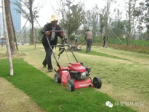 存活可嫩性：困难但非不可嫩