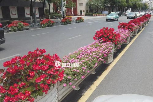 色彩驱动与结构质感组合