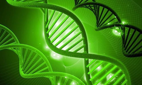 植物神经活性指植物体内调节生长、发育和代谢的神经信号