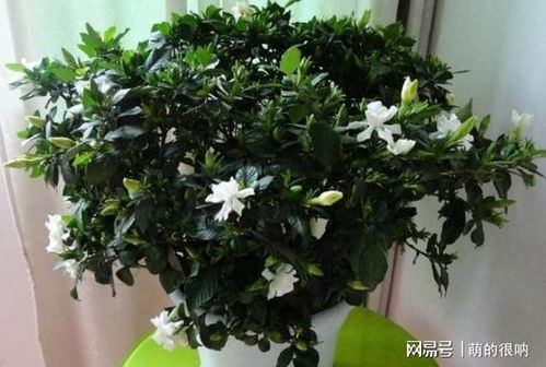 快速法，简单又实用