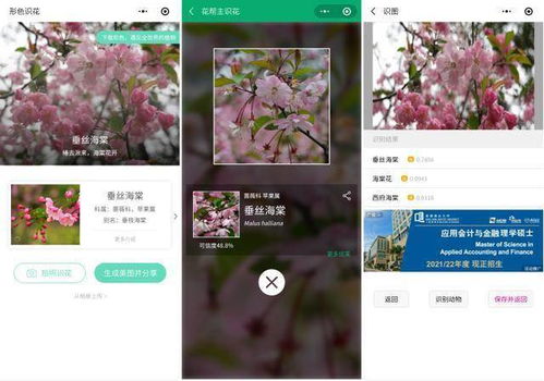 识花小程序大挑战，kan谁Zui厉害！