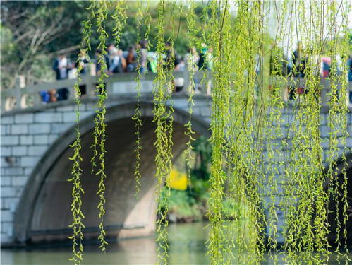 光影之间，捕捉自然之美