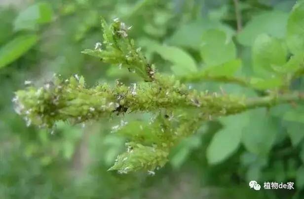 防治小窍门，你学到了吗？