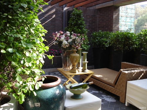 室外草本高杆观赏花卉重新定义景观空间