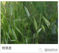 注意事项， 不可忽视