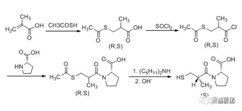 苯并咪唑类药物中，多菌灵与哪些具体药物存在关联或相似作用机制？