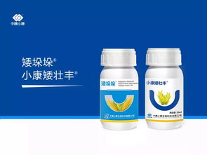 玉米除草剂与毒死蜱混用之谜