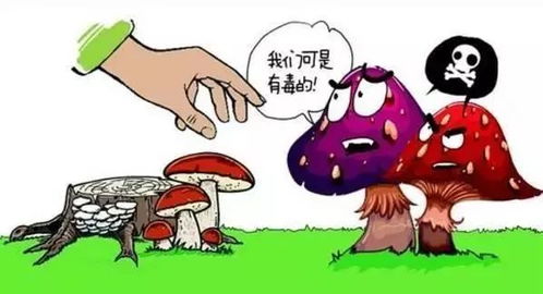 小心！中毒风险