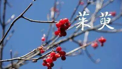 茱萸香囊，古诗中寓意何在