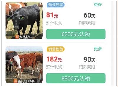 土元饲养：一种简单易行、收益可观的养殖项目
