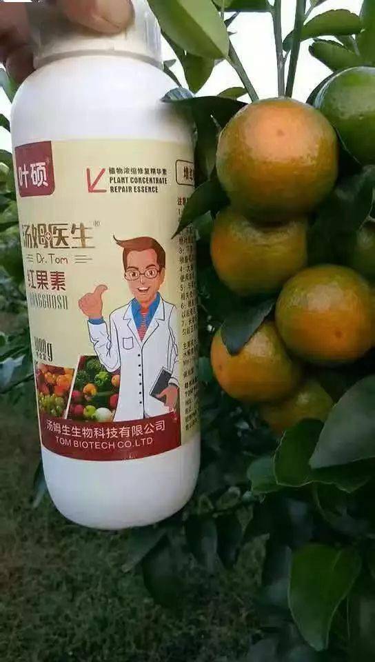 丙环唑：柑橘的守护者