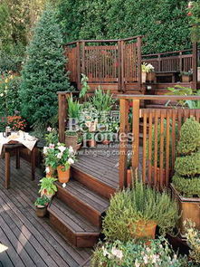 福建屋顶花园的绿色选择