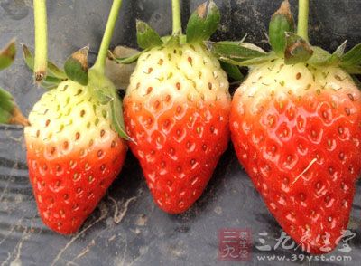 菠萝莓，外表类似草莓