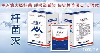 六月雪的多菌灵防治秘籍