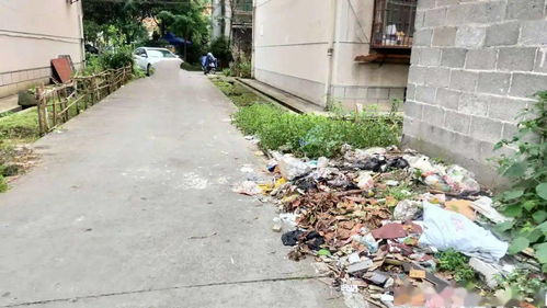 小区里Neng随便用农药吗？