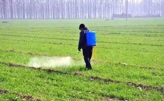 打草甘膦， 注意事项