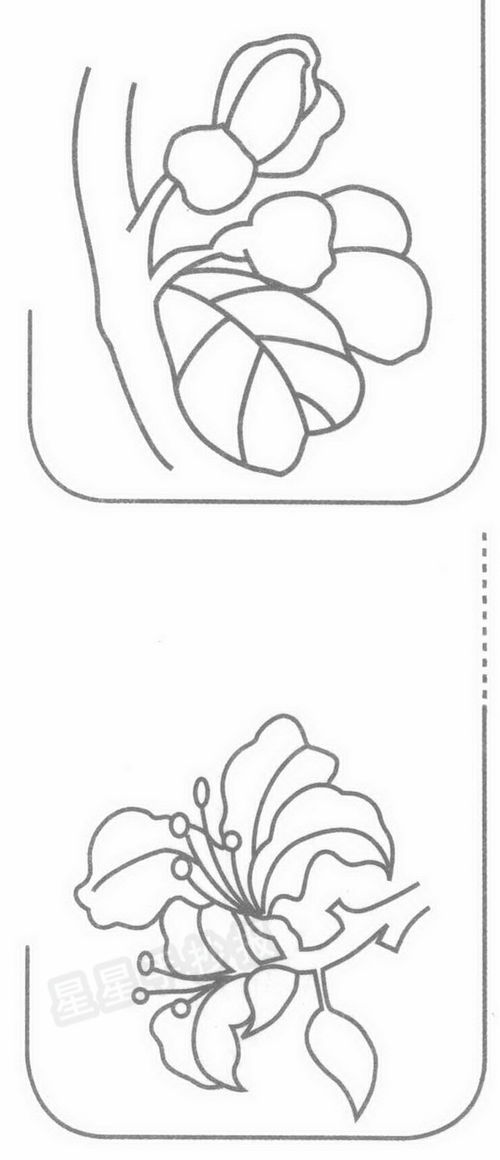 第三步：画花蕊