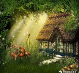 秘密花园的启示