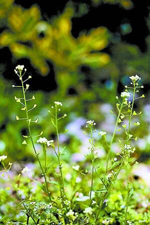种草不是一夜之间的事