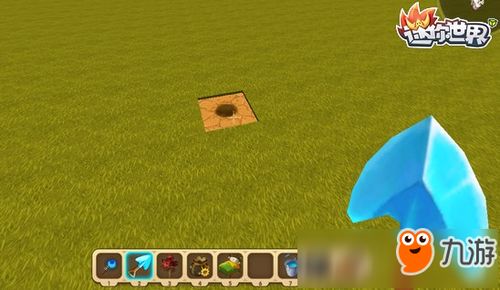 收集星辰花种子的注意事项