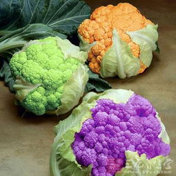 花菜斑点病的成因揭秘