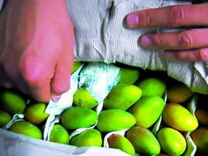 农药对环境的影响