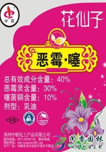 月季枯枝病：枝干上的红色小斑点