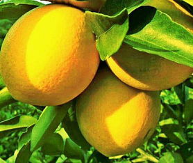 农药， 那点学问