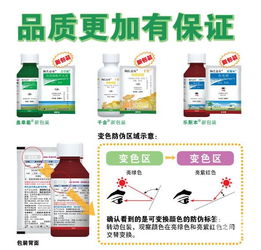 新品种介绍，让您眼花缭乱