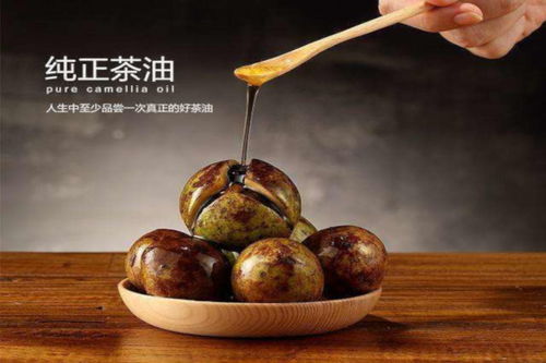 加盟优质野茶油，揭秘独家代理政策！