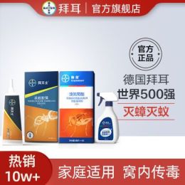 高效杀蚂蚁，有比杀虫剂更妙的法子吗
