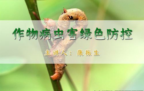 “绿色农业，病虫害防控新策略”