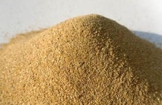 江苏地区豆粕最新价格是多少？近期豆粕价格有上涨吗？