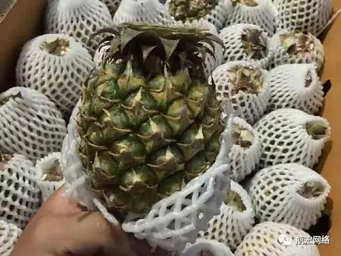 国内能吃到哪些热带水果？常见种类都在这里