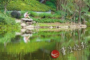 青鱼栖息于淡水湖泊，以水生植物为食