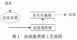 沼气池建设：选址科学