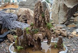 英石流水假山，你注意到了吗？