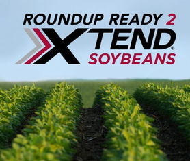 麦草畏：一段传奇的除草剂之路